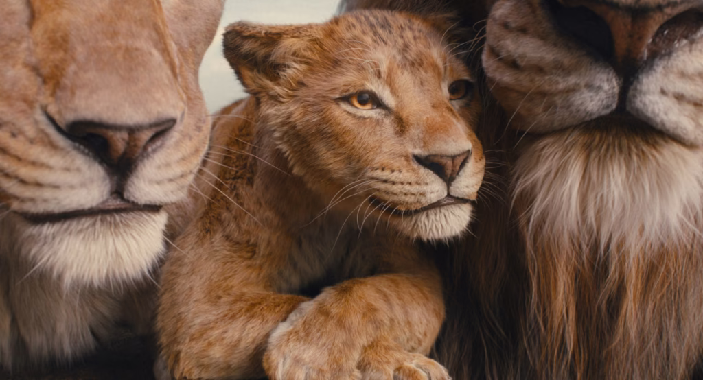 Mufasa: The Lion King Film İncelemesi Arakat Mag Disney