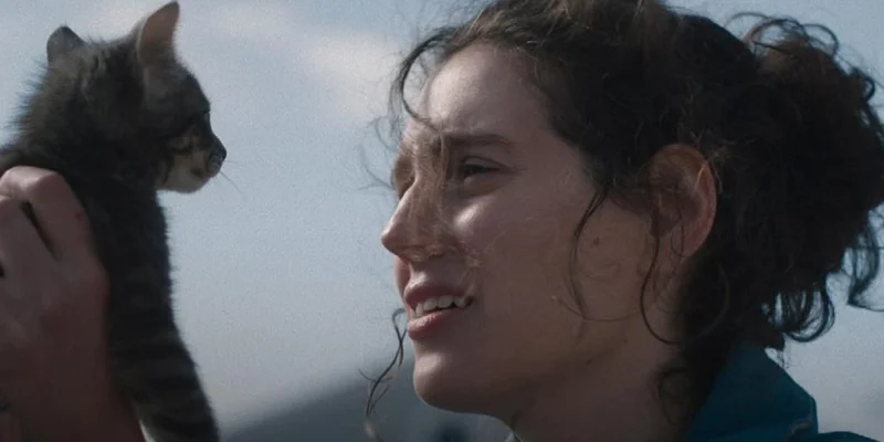 Eva Victor Sorry Baby Filminden Fragman Yayınlandı Arakat Mag