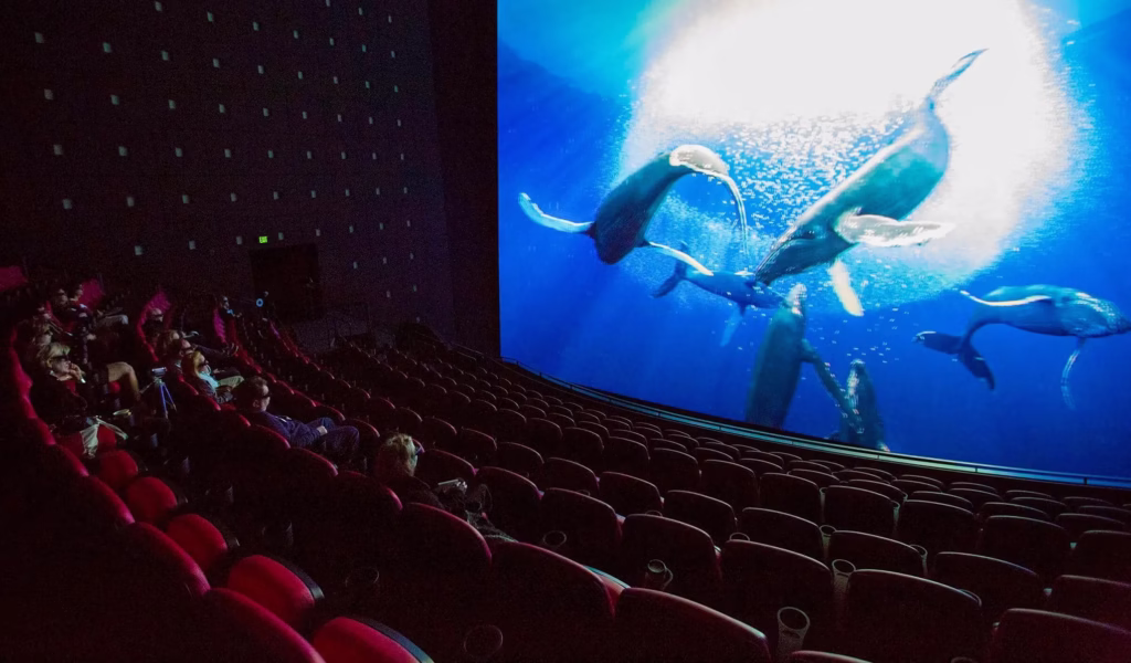 IMAX’ten 4DX’e Sinema Formatları Rehberi En İyi Salonlar Arakat Mag Blog